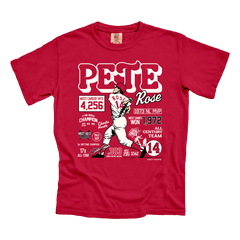 Pete Rose Career Stats