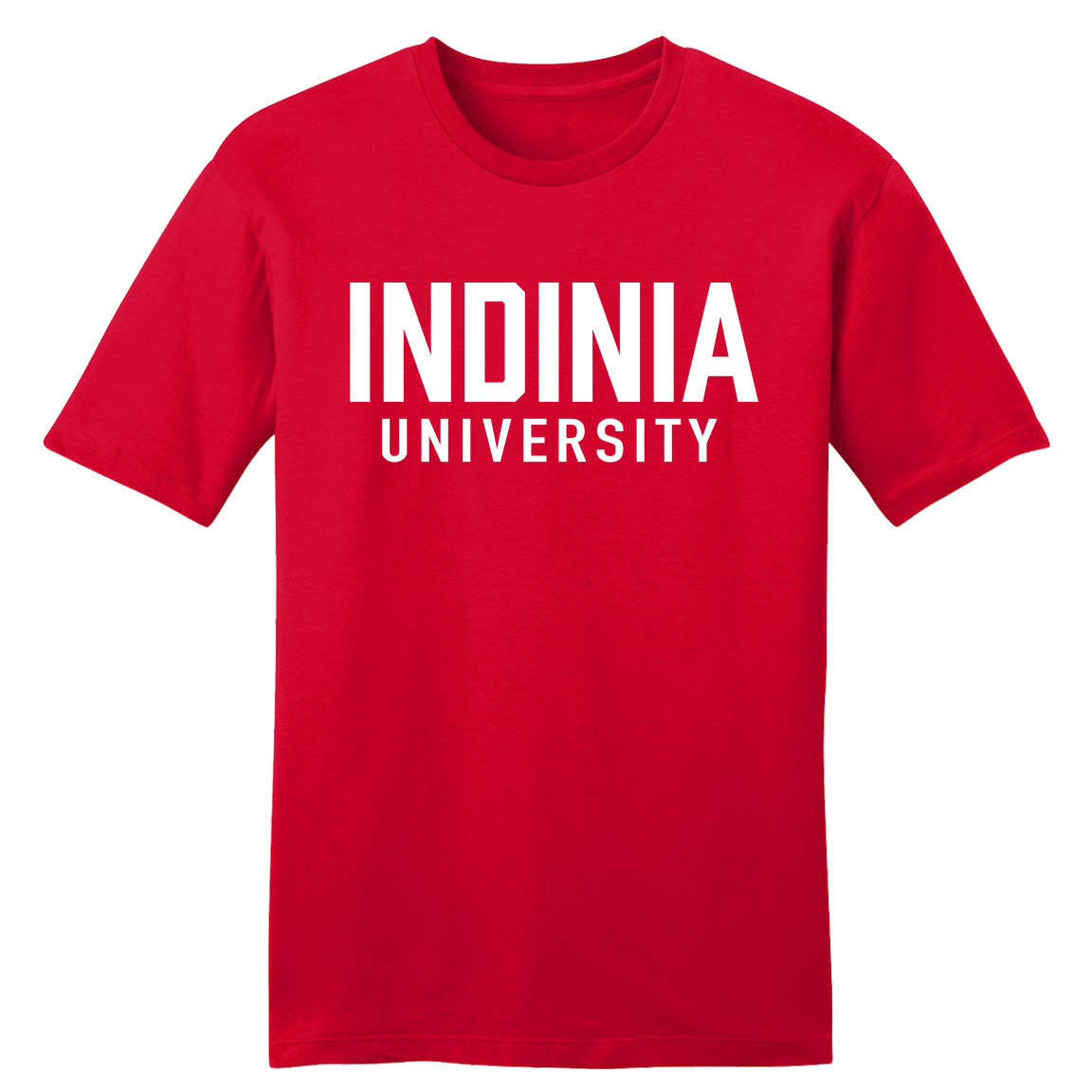 Indinia University Typo tee