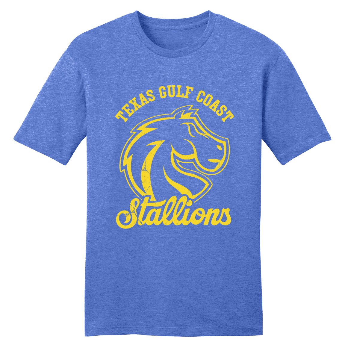 Texas Gulf Coast University Stallions